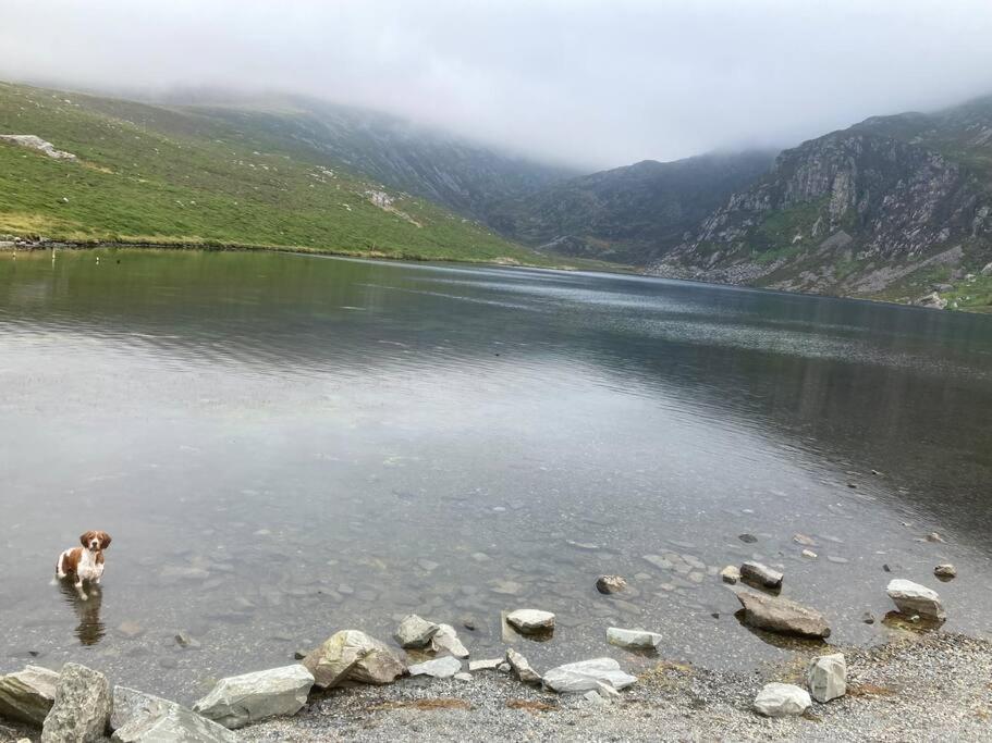 Hedd Wen Villa Llanllyfni Luaran gambar