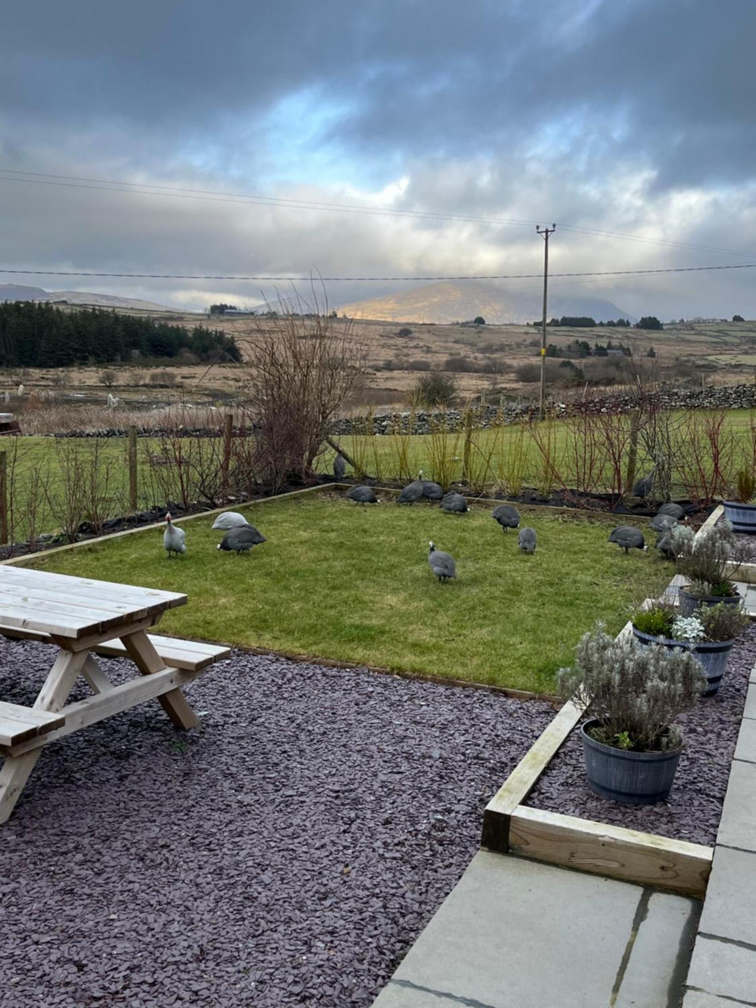 Hedd Wen Villa Llanllyfni Luaran gambar